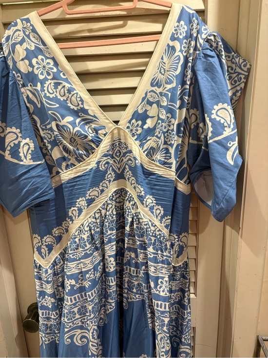 FARM Rio Dresses & Skirts - Farm rio Blue & White Floral V-Neck Maxi Dress XL